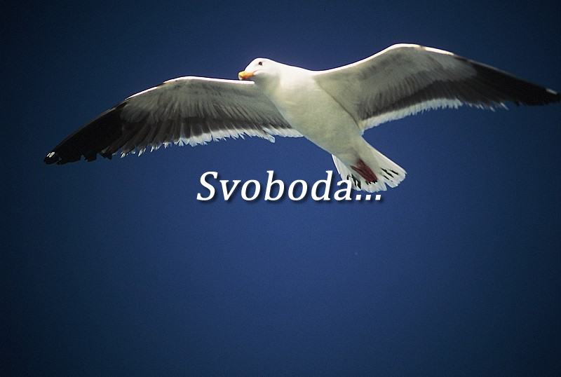 STRAH PRED MOŽEM